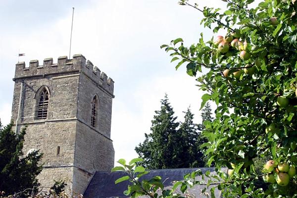 Green apples by the church.jpg